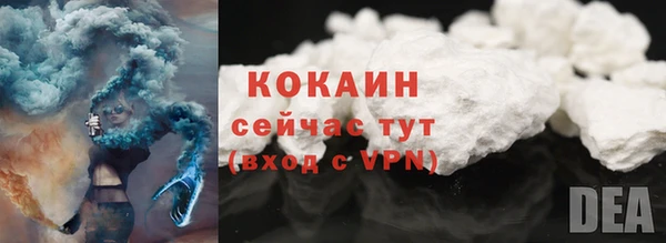 твердый Карпинск