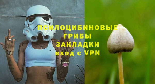 твердый Карпинск