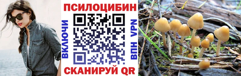 Галлюциногенные грибы мухоморы  Купить  Геленджик 